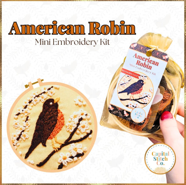 Robin Mini Embroidery Kit