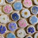 Pressed Flower Magnet Sets