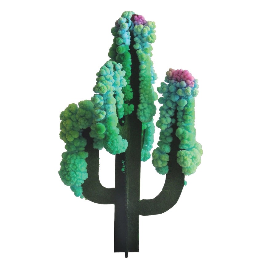 Crystal Growing Saguaro Cactus