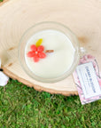Cherry Blossom Organic Soy Candle - Keroppi