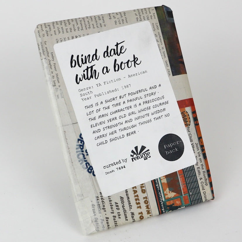 YA Fiction - American South - Blind Date with a Book