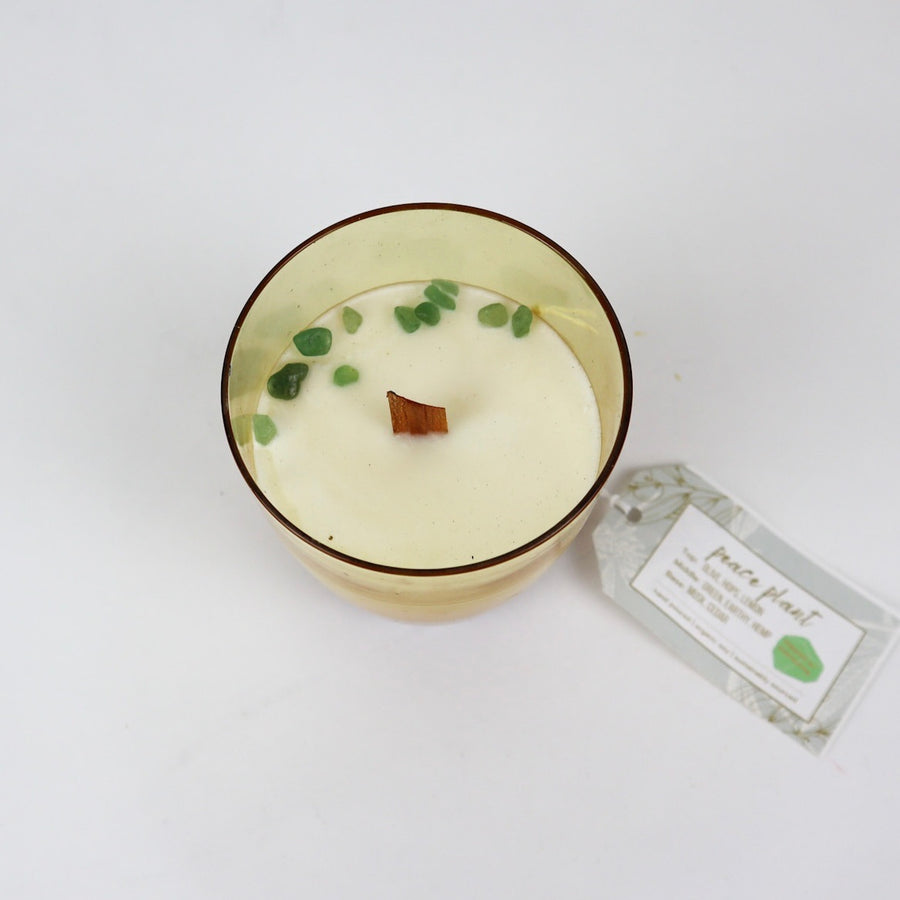 Peace Plant Organic Soy Candle