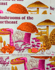 Mushrooms of NE Poster
