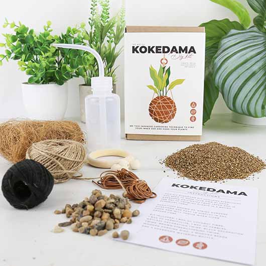 The Art of Kokedama- DIY Kit